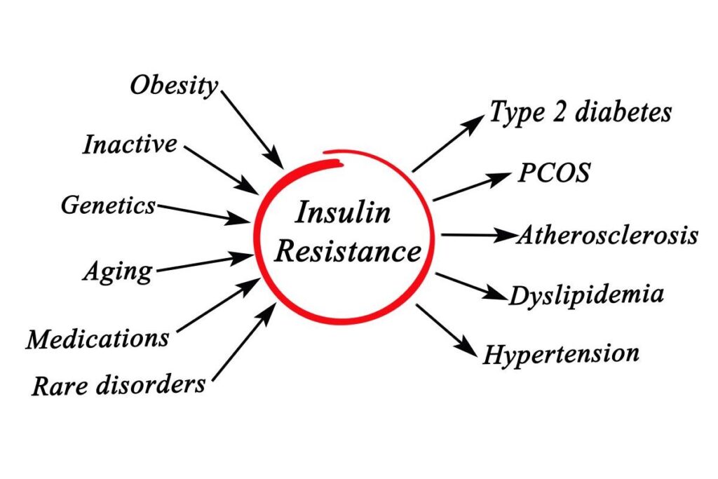 Flowchart illustrating factors contributing to insulin resistance, including obesity, inactivity, genetics, aging, medications, rare disorders, type 2 diabetes, PCOS, atherosclerosis, dyslipidemia, and hypertension, all pointing to a central circle.