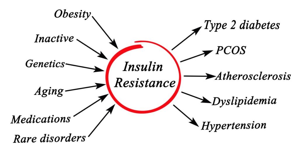 Diagram illustrating factors contributing to insulin resistance. Arrows point to a central circle labeled "Insulin Resistance" with surrounding factors: Obesity, Inactive, Genetics, Aging, Medications, Rare disorders, Type 2 diabetes, PCOS, Atherosclerosis, Dyslipidemia, Hypertension.