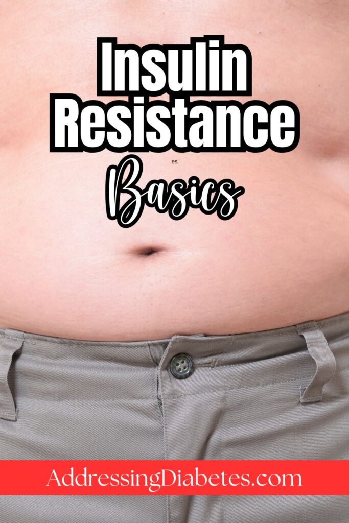 Close-up of a person's midsection wearing gray pants with a visible belly. The text "Insulin Resistance Basics" and "AddressingDiabetes.com" is overlaid on the image.